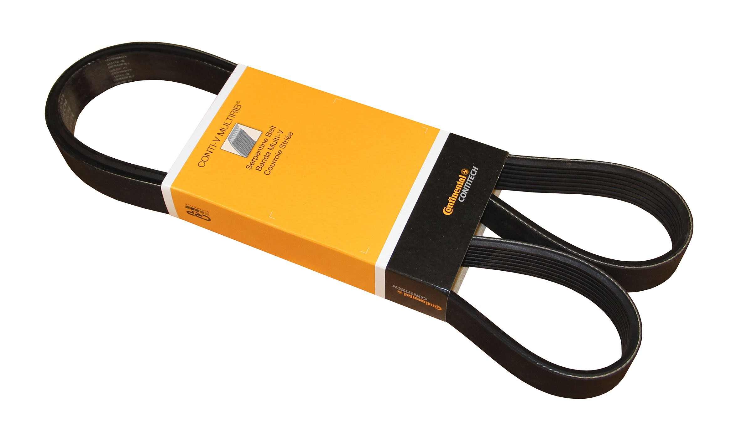 Continental Serpentine Belt PK070579