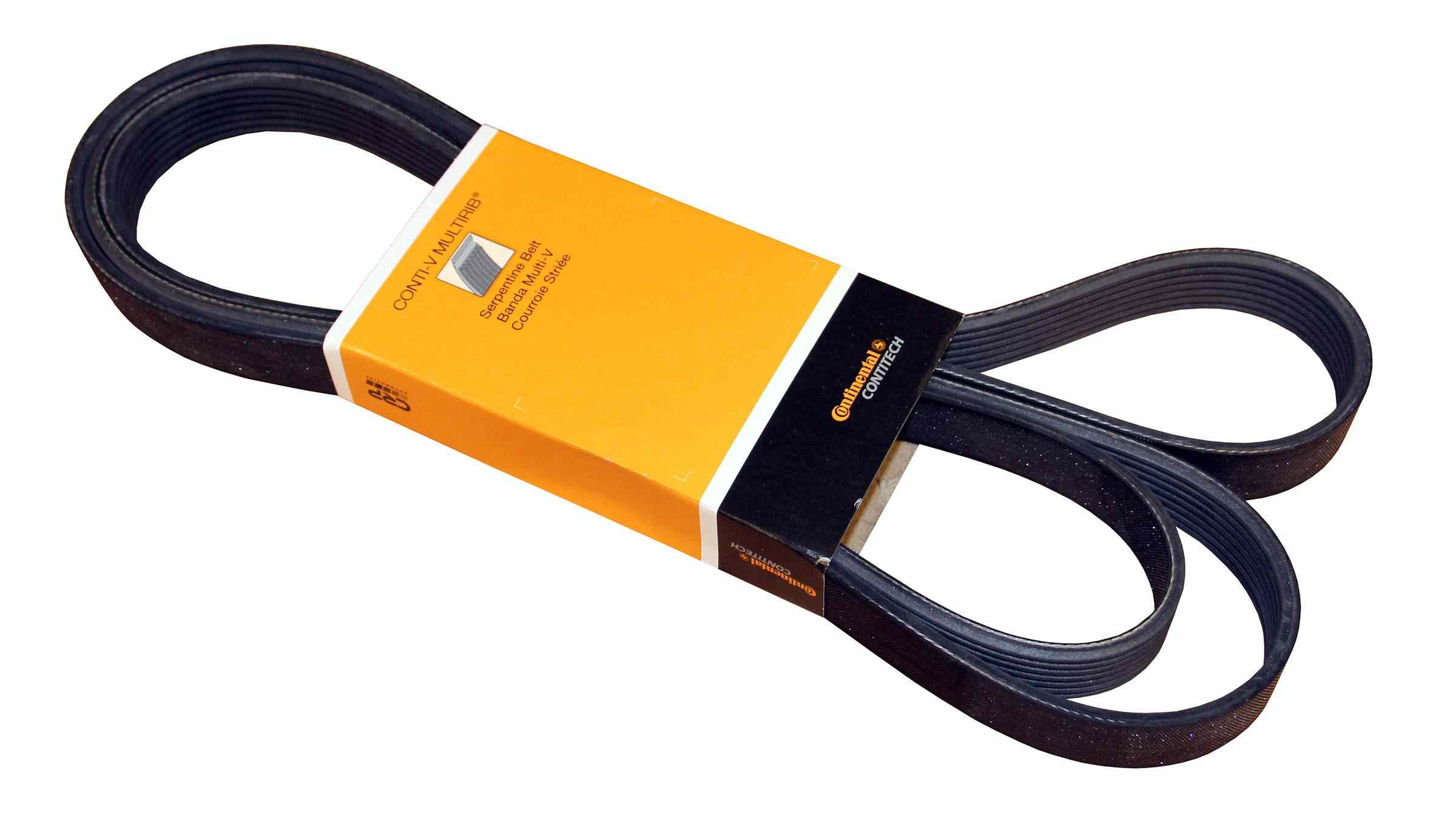 Continental Serpentine Belt PK070953