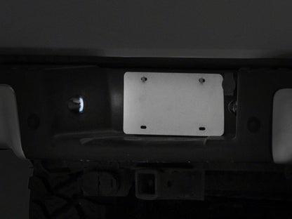 Raxiom 01-14 Ford F-150 Axial Series LED License Plate Light Bulb T543147 T543147 Photo - Close Up