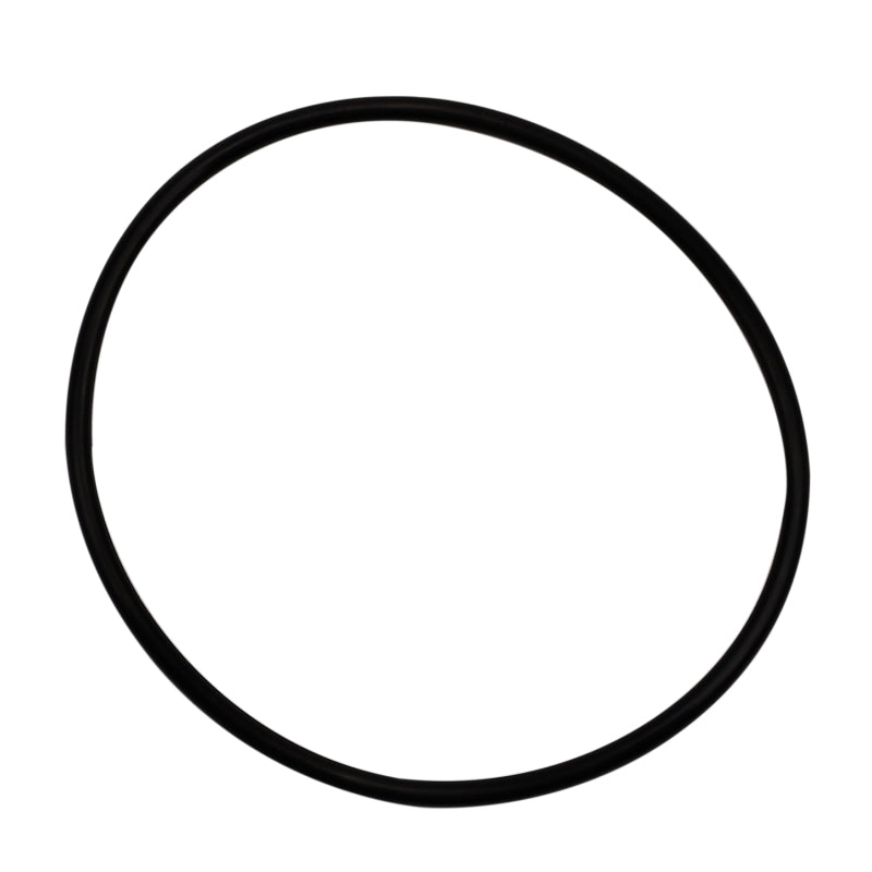 Wehrli LBZ/LMM/LML Duramax Y-Bridge Flange O-Ring Seal (Pair) WCF203-86 WCF203-86 Photo - Primary
