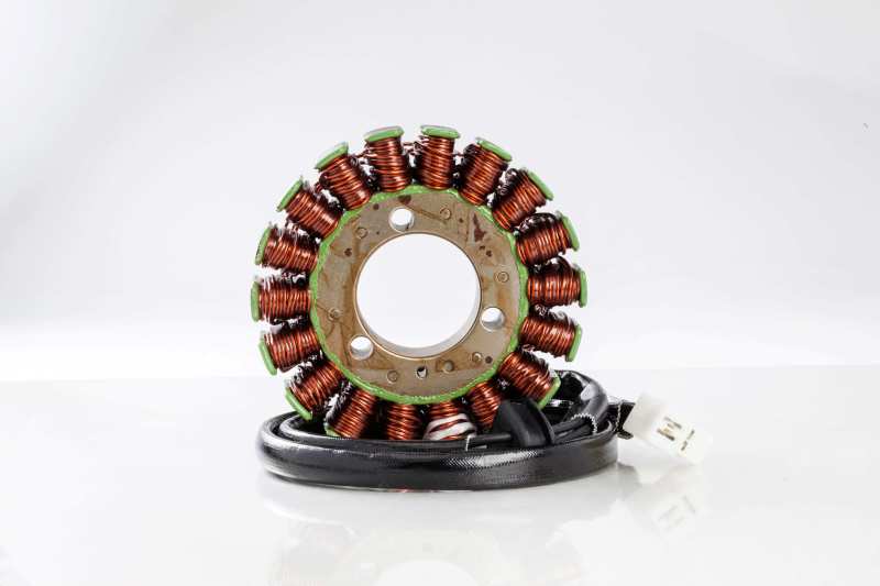 Ricks Motorsport Electrics Ricks Motorsport StatorsSuzuki 21-306 21-306 User 1
