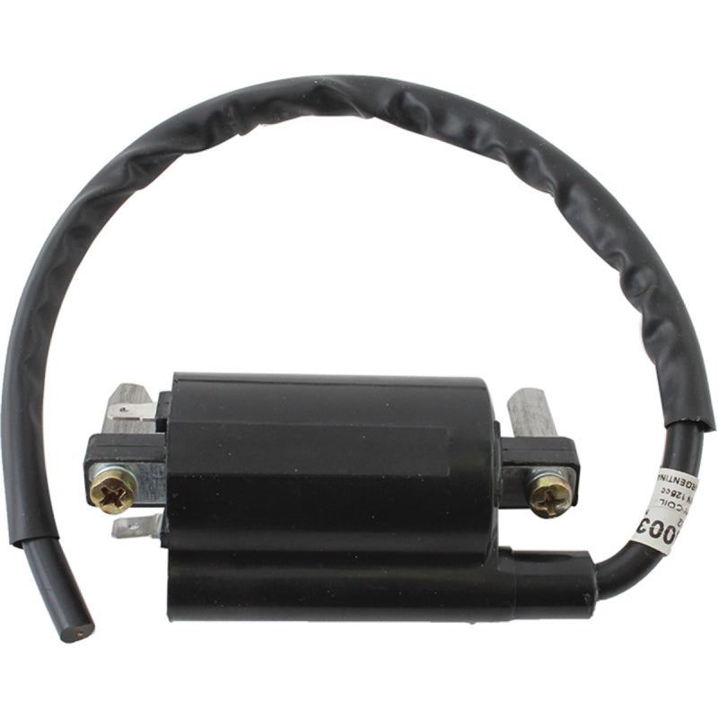 Arrowhead Suzuki Ign Coil 160-01052 160-01052 Photo - Primary