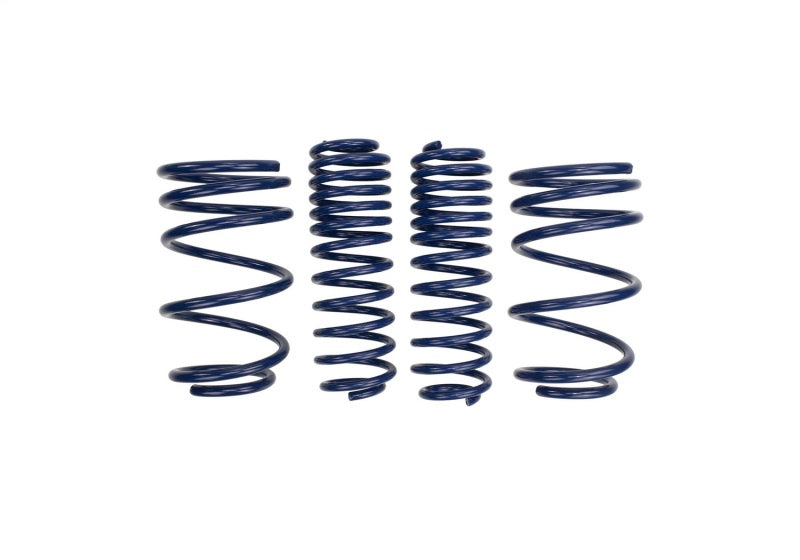Ford Performance Parts Ford Racing 2007-2014 Mustang Shelby GT500 Springs M-5300-L Photo - Unmounted