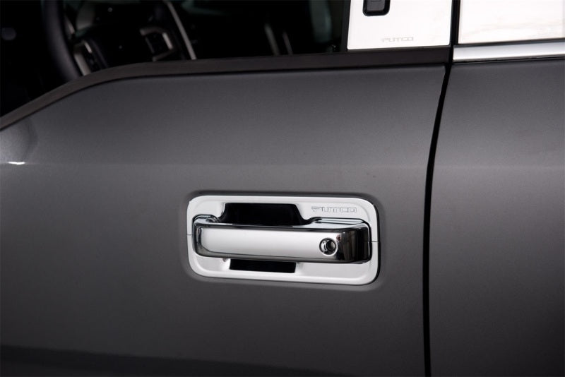 Putco Ford F150 - 2 Door w/ Driver Keyhole, Deluxe 401066 Photo - Mounted