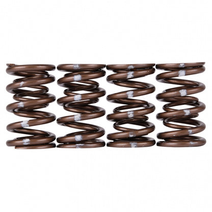 Skunk2 Pro Series XP Valve Spring Set Honda/Acura B-Series VTEC 311-05-7350 Photo - Unmounted