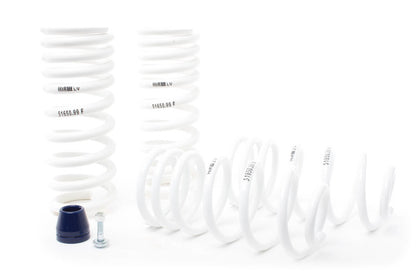 H&R Race Springs Ford Mustang 1994-1995 51650-99 User 1