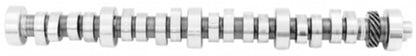 Ford Performance Parts Ford Racing Small Block V-8 Hydraulic Roller Tappet Camshafts M-6250-E303 Photo - Primary