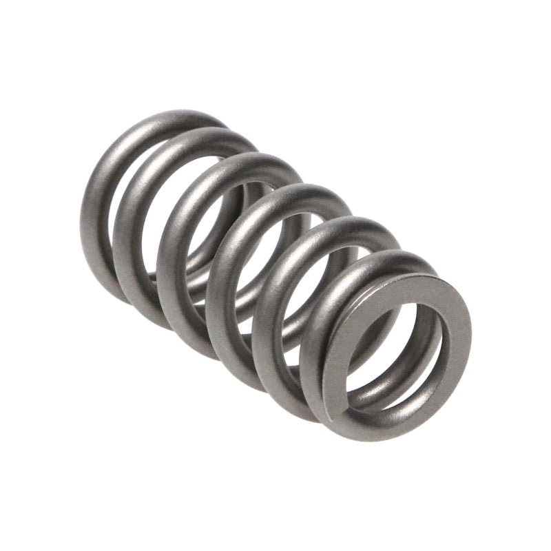 Manley Performance Manley Ford/Mazda 2.0L/2.3L/2.0L 16pc Valve Spring Kit 22200-16 22200-16 Photo - Primary