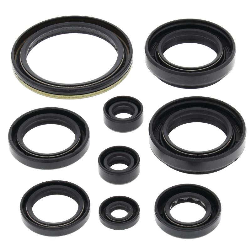 Vertex Pistons Vertex Gaskets 00-02 Arctic Cat 500 4x4 w/AT Oil Seal Kit 822259 822259 Photo - Primary
