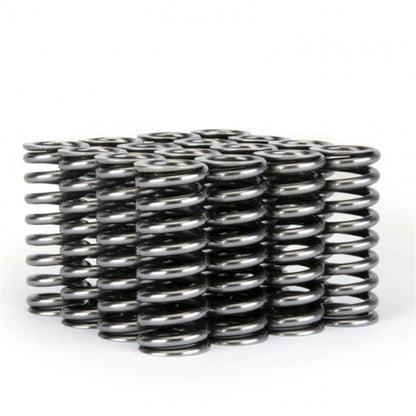 Skunk2 Alpha Series Valve Spring Set Honda SOHC D-Series VTEC 311-05-1345 Photo - Unmounted