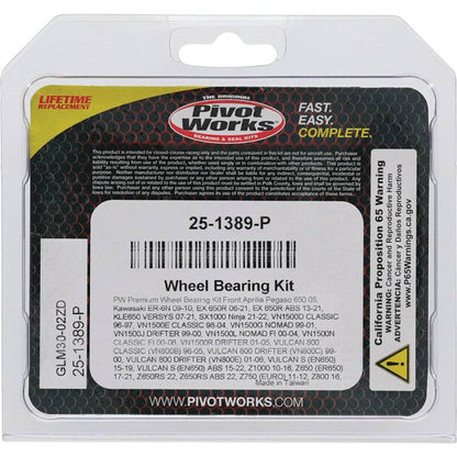 Pivot Works Aprilia, Kawasaki, Triumph Wheel Bearing Kit Premium Bearings 25-1389-P 25-1389-P Photo - Primary