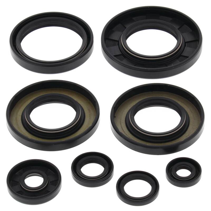 Vertex Pistons Vertex Gaskets 09-14 Yamaha YFM550 Grizzly Oil Seal Kit 822349 822349 Photo - Primary