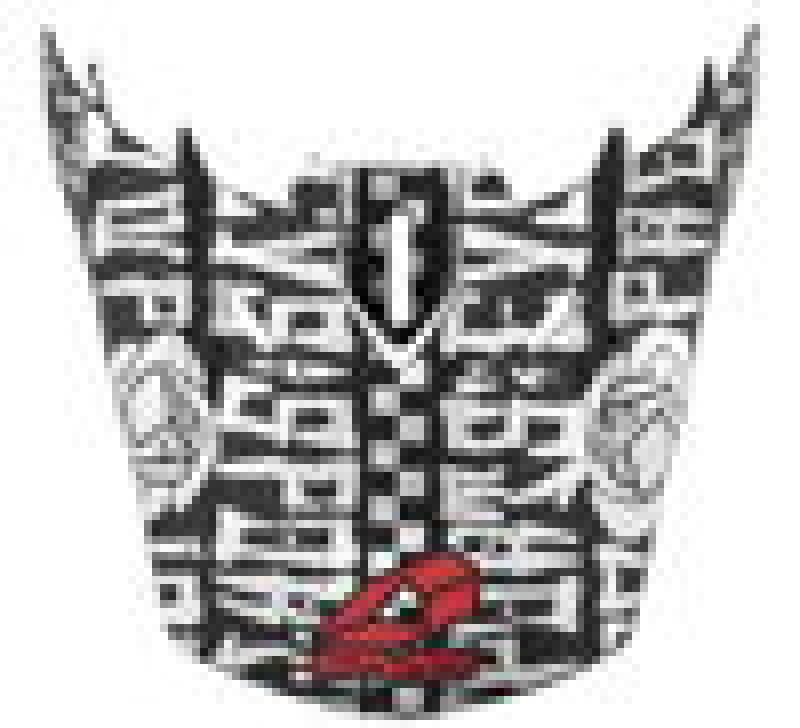 EVS T5 Evilution Visor Titanium HE18T5EV-VSTTNM HE18T5EV-VSTTNM User 1