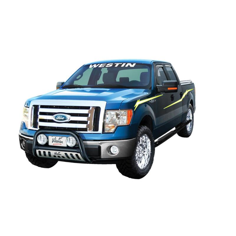Westin 2004-2014 Ford F-150 (6.75 ft Bed)(Excl. Heritage Edition) Platinum Oval Bed Rails - SS 50-2050 50-2050 Photo - Mounted
