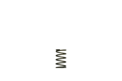 Turbosmart WG38/40 Gen-V 5psi Inner spring - Grey TS-0550-3082 TS-0550-3082 Photo - Primary