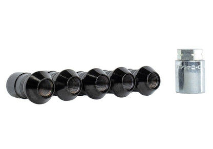 Ford Racing 2023+ Ford Bronco Raptor  M14 x 1.5 Black Security Lug Nut Kit - Set of 5 M-1A043-A5 M-1A043-A5 Photo - Unmounted
