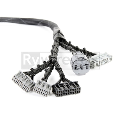 Rywire Honda B-Series OBD1 Tuck Budget Eng Harness w/OBD1 Dist/Inj/Alt/92-95 ECU Plugs (Adapter Req) RY-B1-BASE RY-B1-BASE Photo - Primary