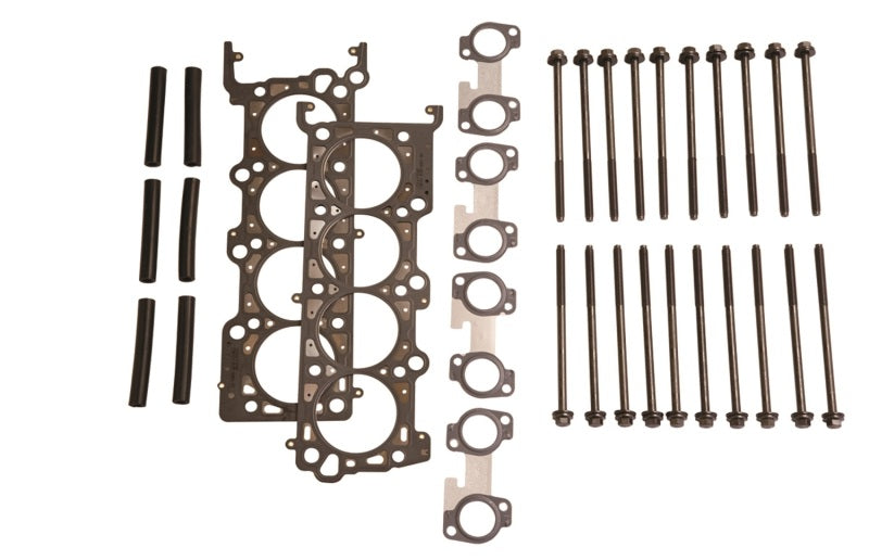 Ford Performance Parts Ford Racing 4.6L 2V SOHC Head Changing Kit M-6067-D46 Photo - Primary