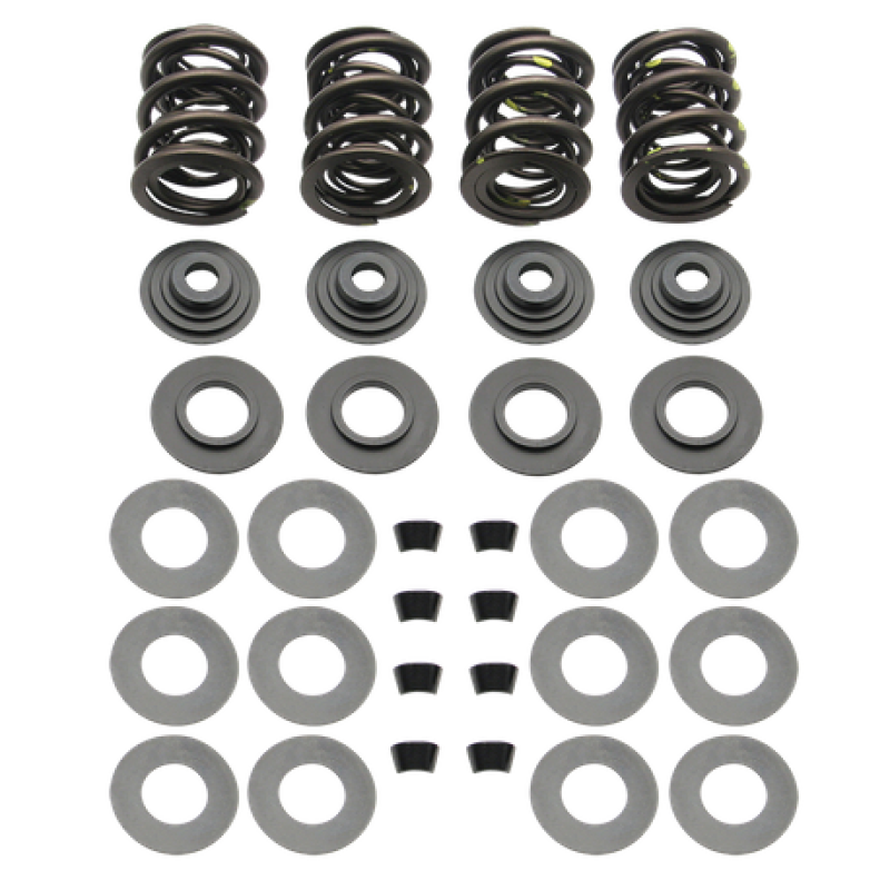 S&S Cycle 81-84 BT Triple Valve Spring Kit 90-2063 90-2063 User 1