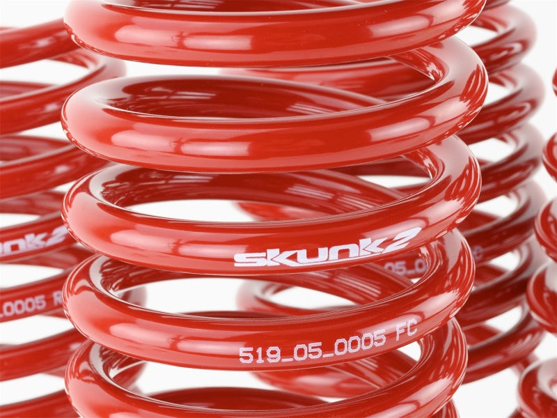 Skunk2 Lowering Springs 92-95 Honda Civic/Del Sol (2.50in - 2.25in.) 519-05-1480 Photo - Unmounted