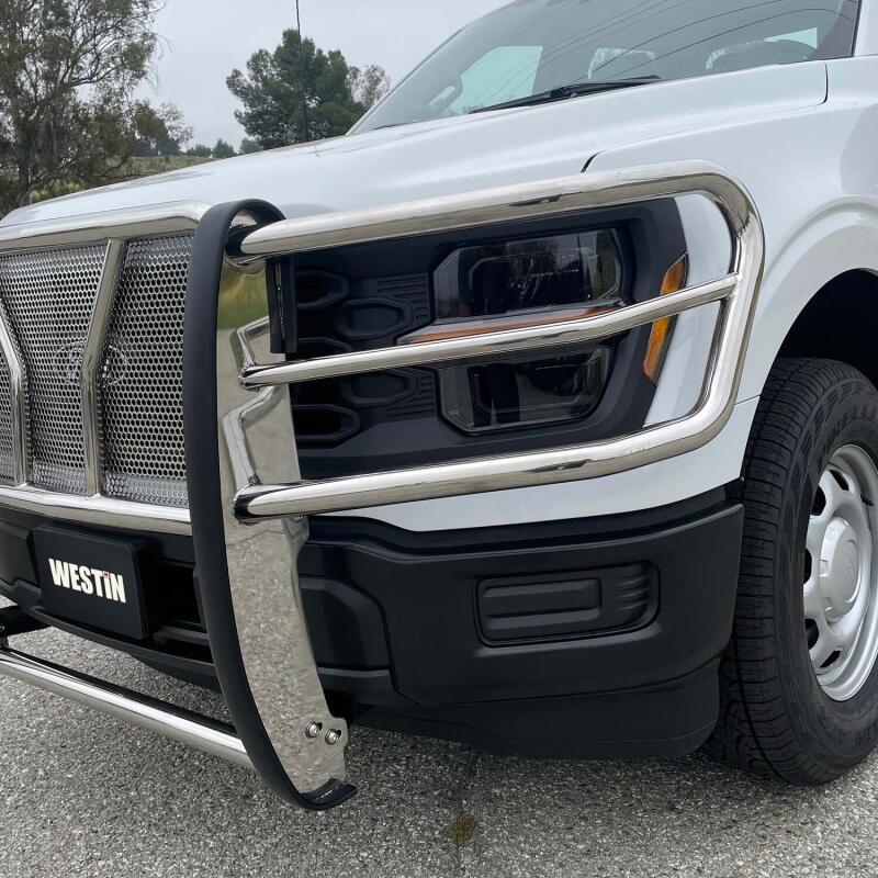 Westin 21-22 Ford F-150 (Excl. Raptor/Platinum) HDX Grille Guard - SS 57-4060 57-4060 Photo - Mounted