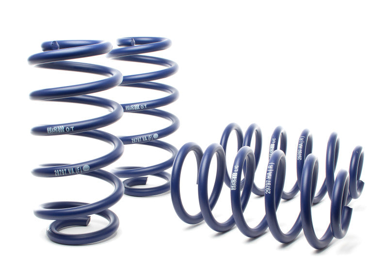 H&R Sport Springs Audi S6 2002-2003 50316 Photo - Primary