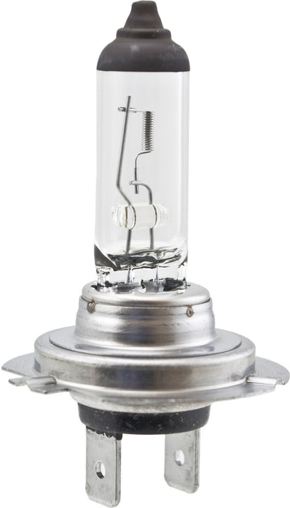 Hella High Wattage Bulb H7 12V 100W PX26d T4.6 H7 100W H7 100W Photo - Primary