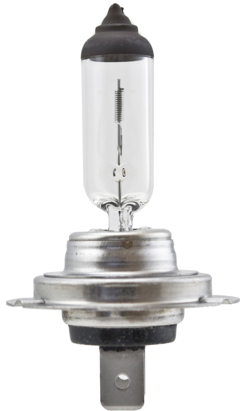 Hella High Wattage Bulb H7 12V 100W PX26d T4.6 H7 100W H7 100W Photo - Close Up