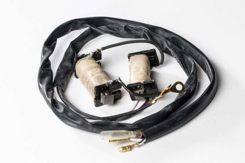 Ricks Motorsport Electrics Ricks Motorsport Stator Rebuild Kit 22-780 22-780 User 1