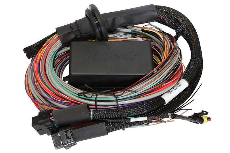 Haltech Elite 1500-2.5m (8 ft) Premium Universal Wire-in Harness Only HT-140904 Photo - Primary