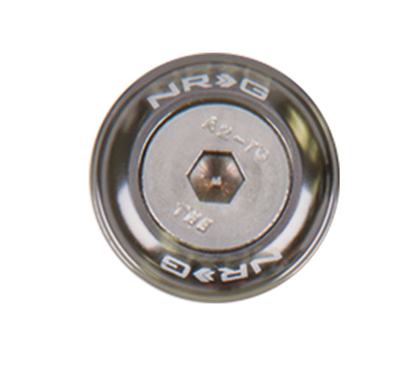 NRG Fender Washer Kit, Set of 10, Gun Metal, Rivets for Metal FW-110GM Photo - Primary