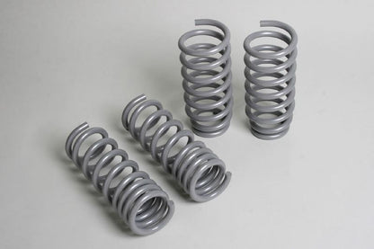 Progress Tech 04-10 Dodge Chrysler 300C/2009+ Dodge Challenger V8 Sport Springs 40.0635 40.0635 Photo - Primary