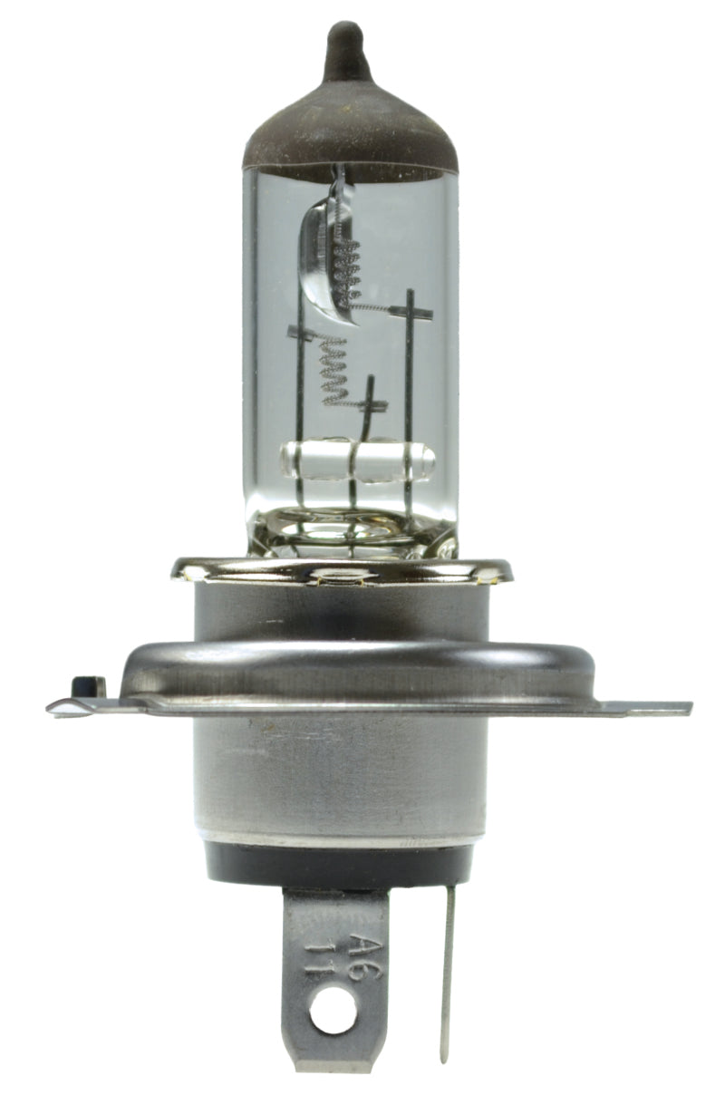 Hella H4 24V 75/70W P43t T4.625 Halogen Bulb (Min Order Qty 10) H4 24V H4 24V Photo - Primary
