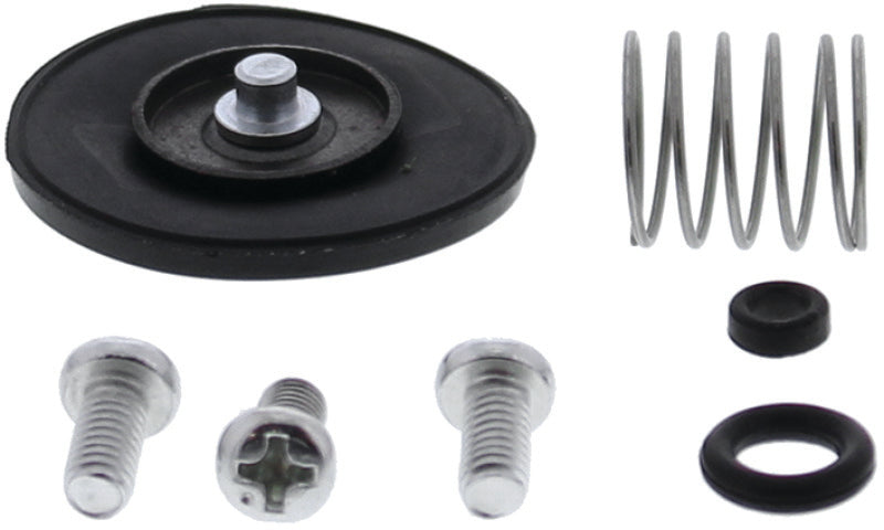 QuadBoss Qboss Accelerator Pump Kit 420597 420597 Photo - Primary