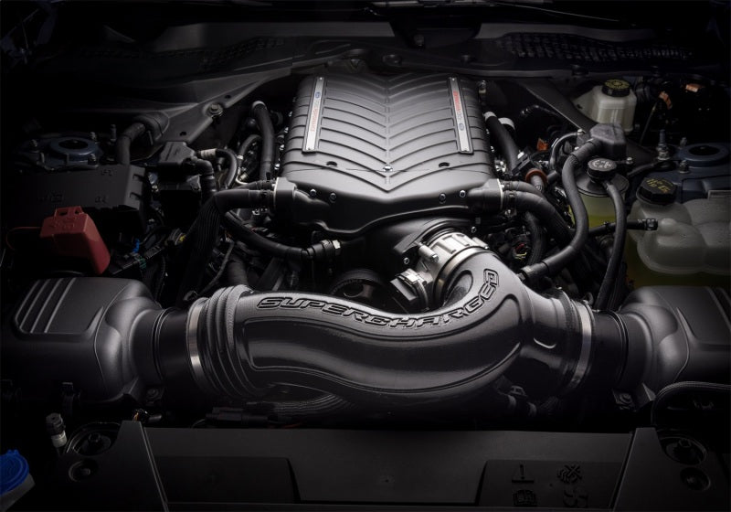 Ford Racing 2024+ Mustang GT/Dark Horse 5.0L Supercharger Kit M-6066-M8800 M-6066-M8800 Photo - Primary