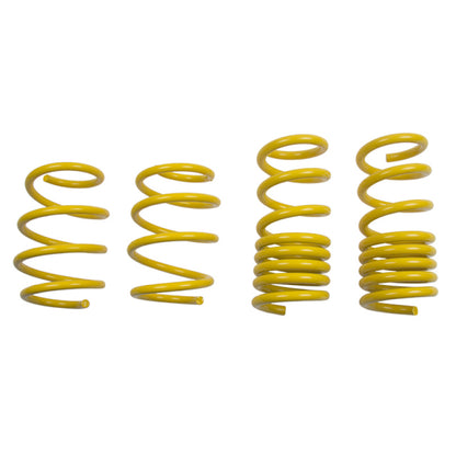 ST Suspensions ST Lowering Springs Ford Mustang V8 28230052 28230052 User 1
