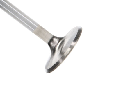 Manley Performance Ford 4.6L DOHC (4 Valve) Triple Groove 37mm Race Master Intake Valves 11616-8 Photo - Primary