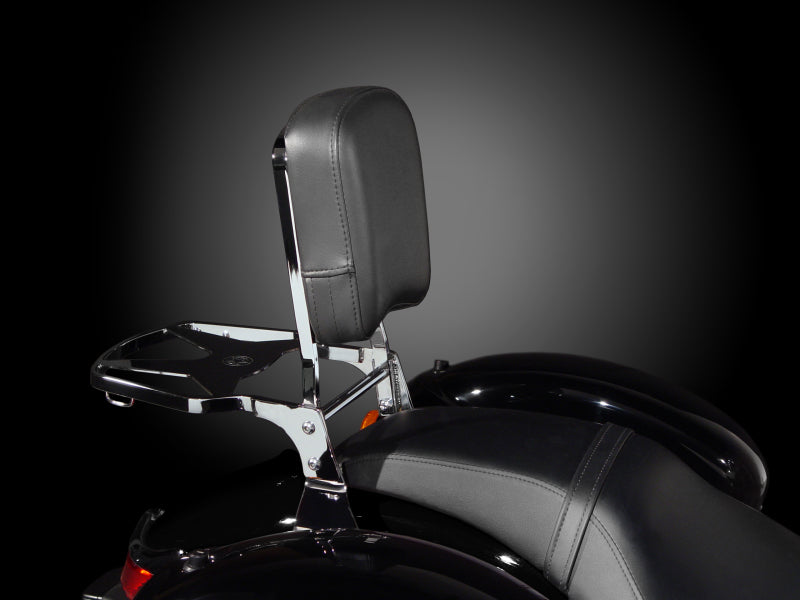 National Cycle Backrest w/Pad P9800A P9800A User 1