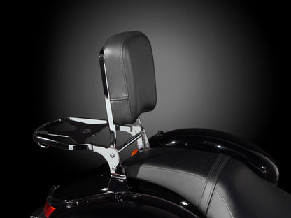 National Cycle Backrest w/Pad P9800A P9800A User 1