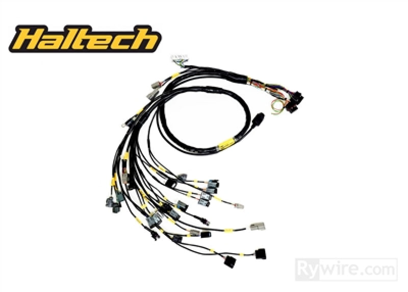 Rywire Honda B-Series (w/Haltech Elite 1500+) Eng Harn w/OBD1 Alt/EV1 Inj/AEM IAT & MAP (Adapt. Req) RY-B-HALTECH-ELITE