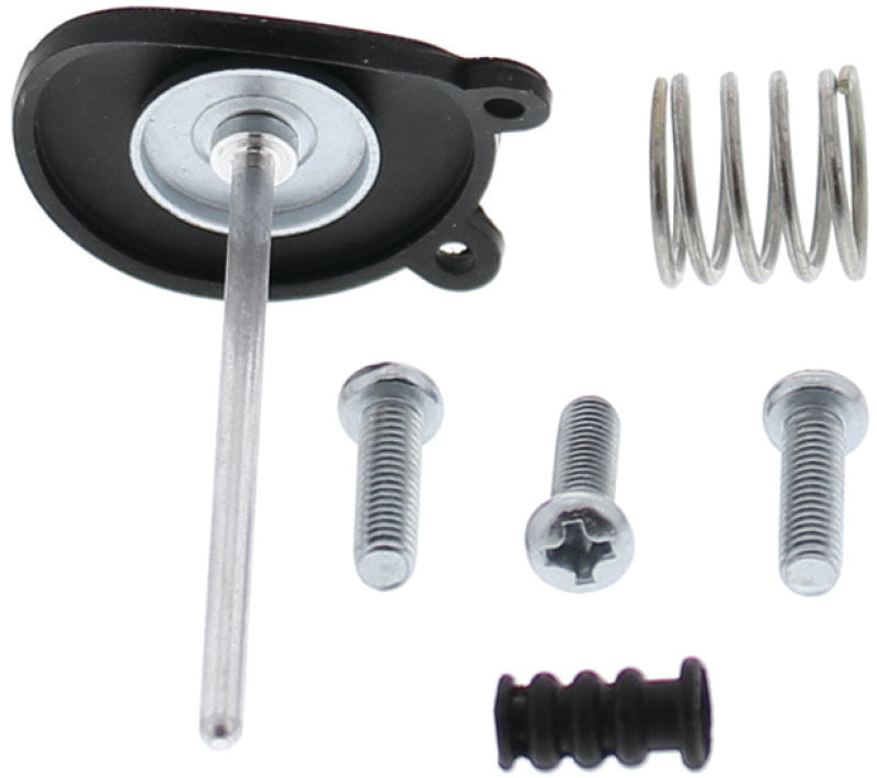 QuadBoss 04-05 Honda TRX450R (02) Accelerator Pump Kit 420596 420596 Photo - Primary