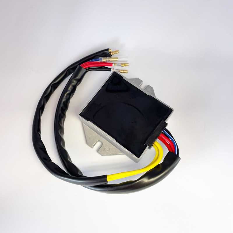 Ricks Motorsport Electrics Ricks Motorsport Hot Shot Series Universal Style Rectifier-Regulator 10-001H 10-001H User 1