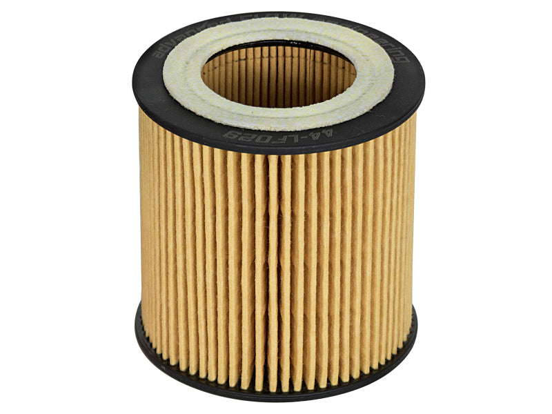 aFe  POWER 44-LF029-MB Pro GUARD HD Oil Filter 44-LF029-MB Photo - Unmounted