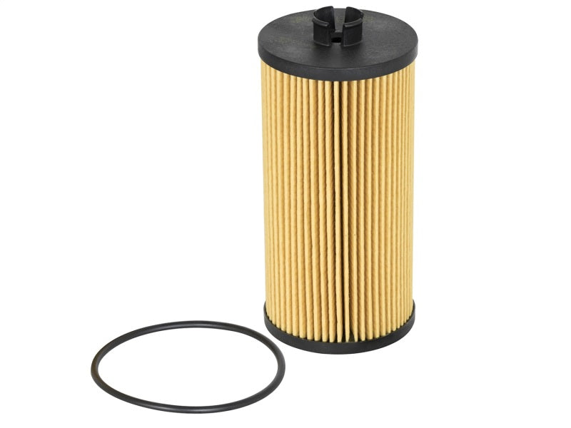 aFe Pro Guard D2 Oil Filter 44-LF003 Photo - Primary