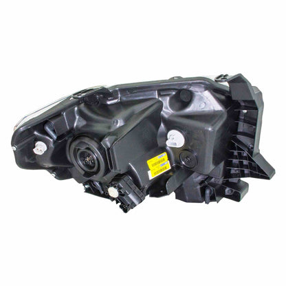Eagle Eyes TY1240-B011LR