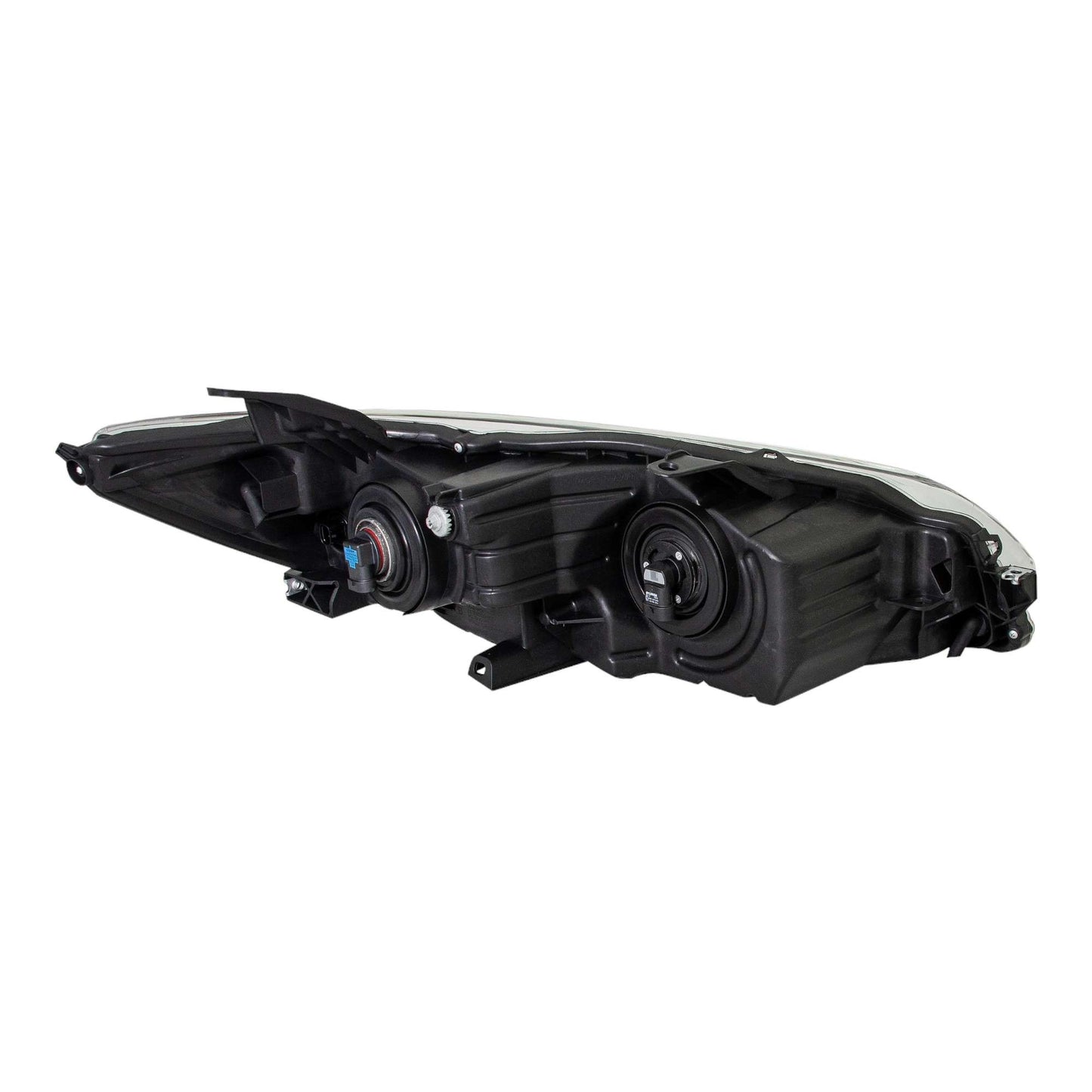 Eagle Eyes TY1264-B001L