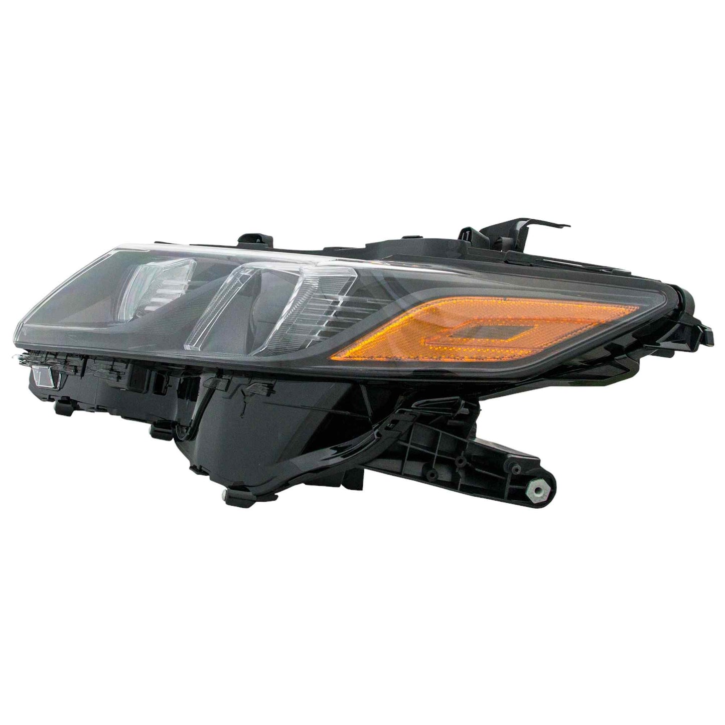 Eagle Eyes TY1343-B111L