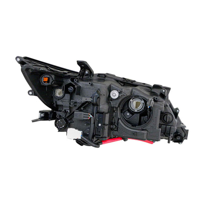 Eagle Eyes TY1364-A101L