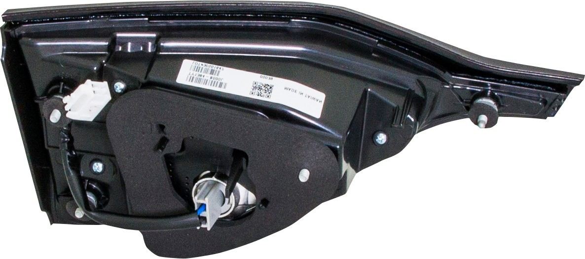 Eagle Eyes TY1384-B000L