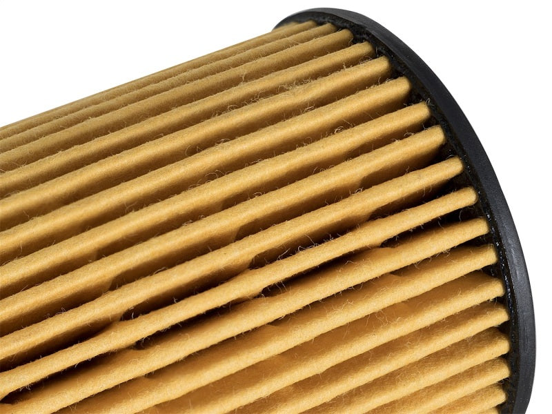 aFe  POWER 44-LF026 Pro GUARD D2 Oil Filter 44-LF026 Photo - Unmounted